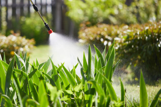 24/7 Emergency Mosquito Control experts in Baker, MT